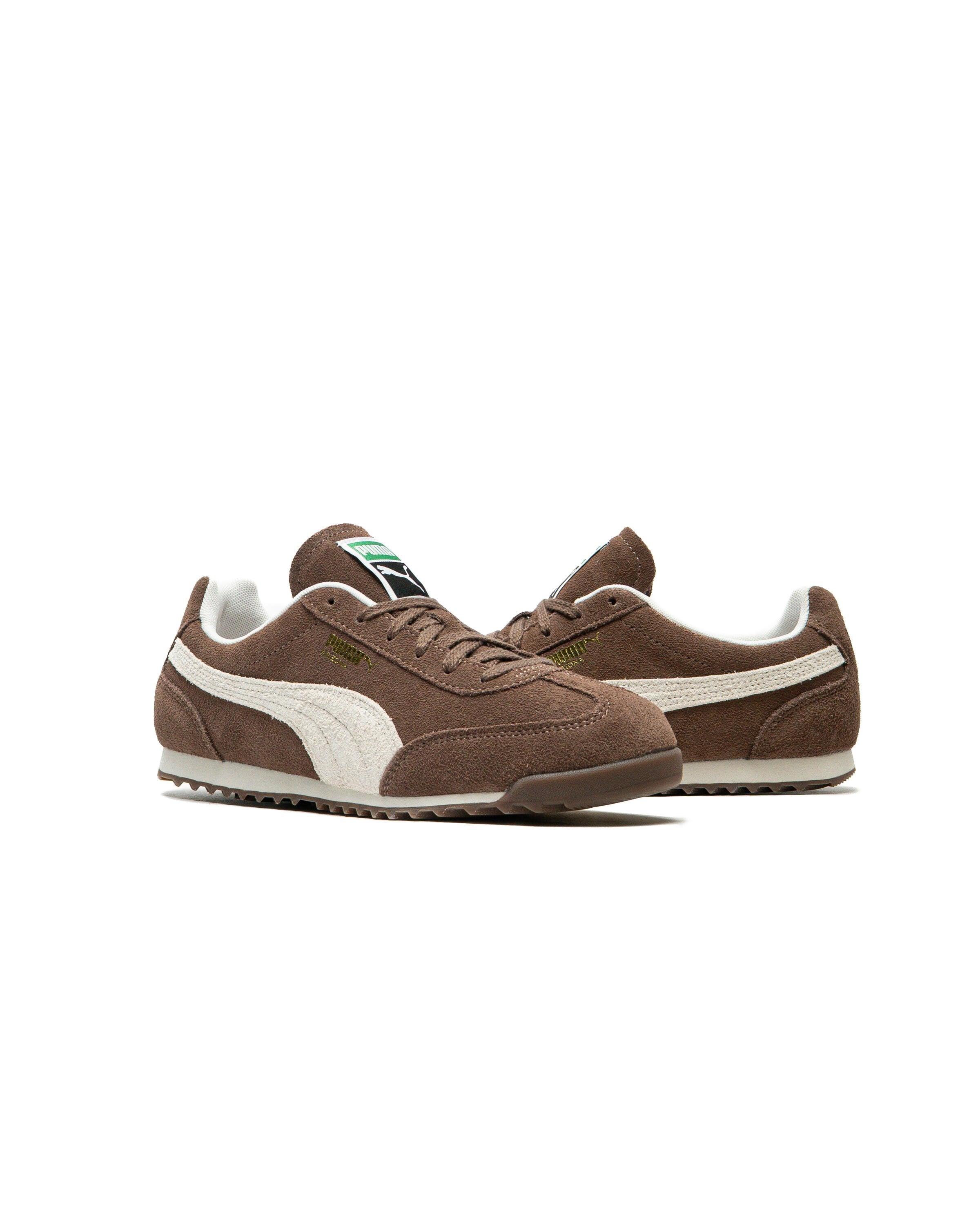 Puma Arizona