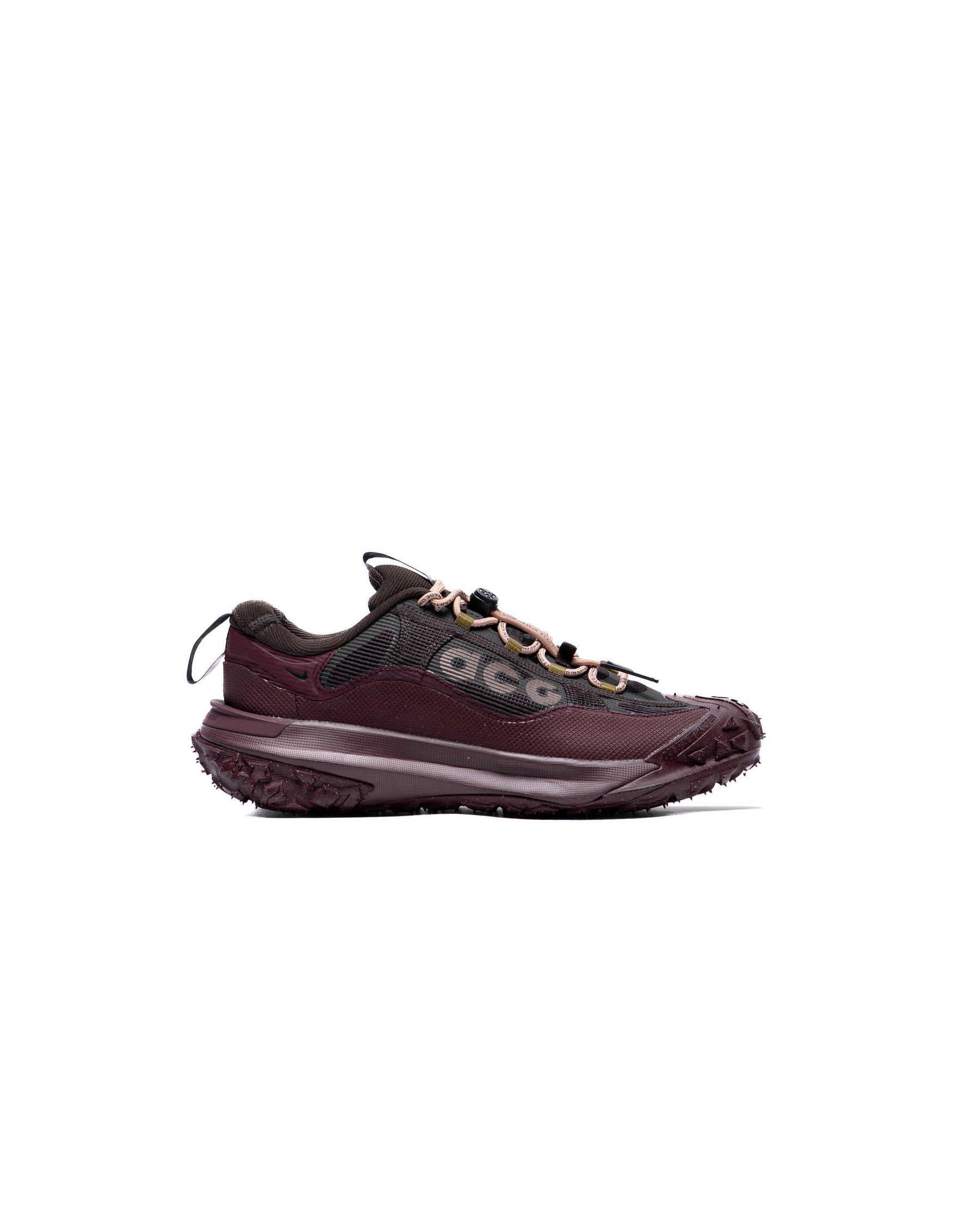 Nike ACG MOUNTAIN FLY 2 LOW Gore-Tex