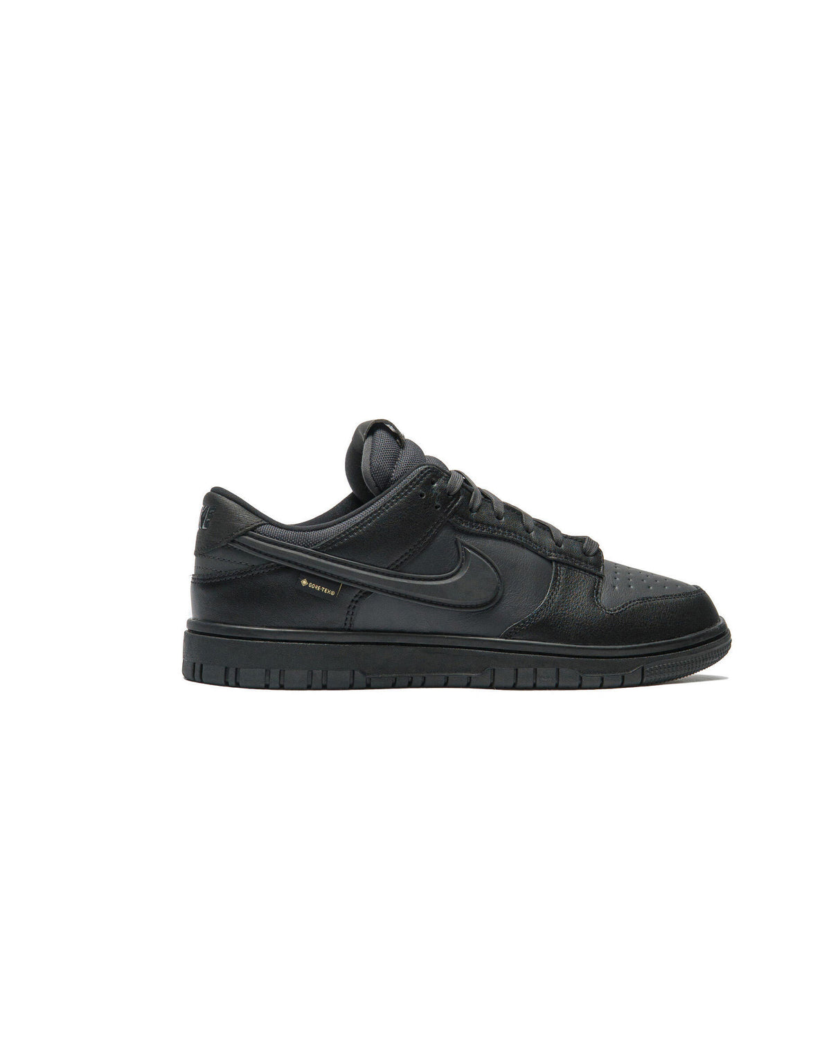 Nike Dunk Low GORE-TEX