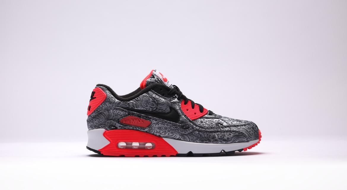 Nike Air Max 90 "25th Anniversary" Silver