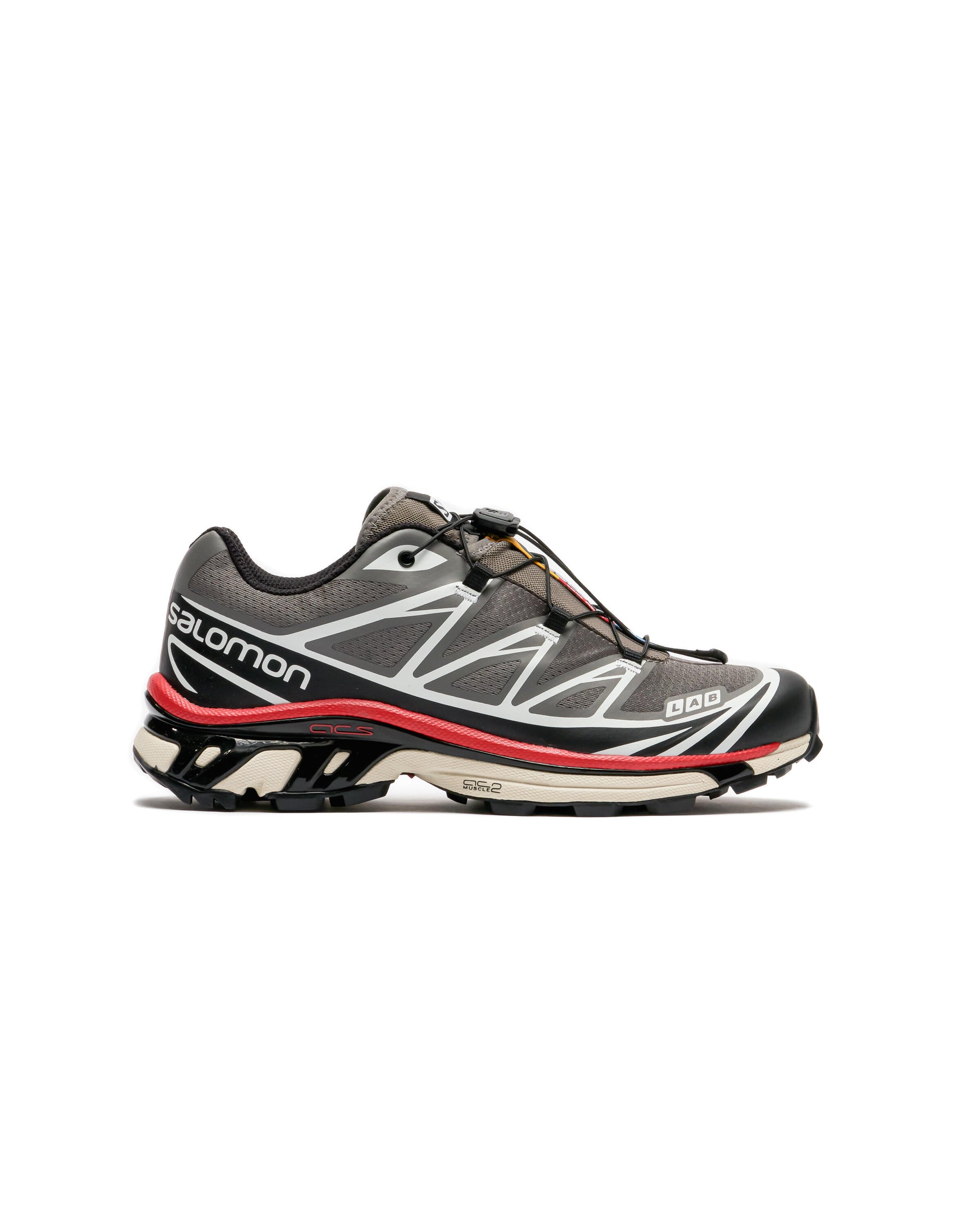 Salomon XT-6